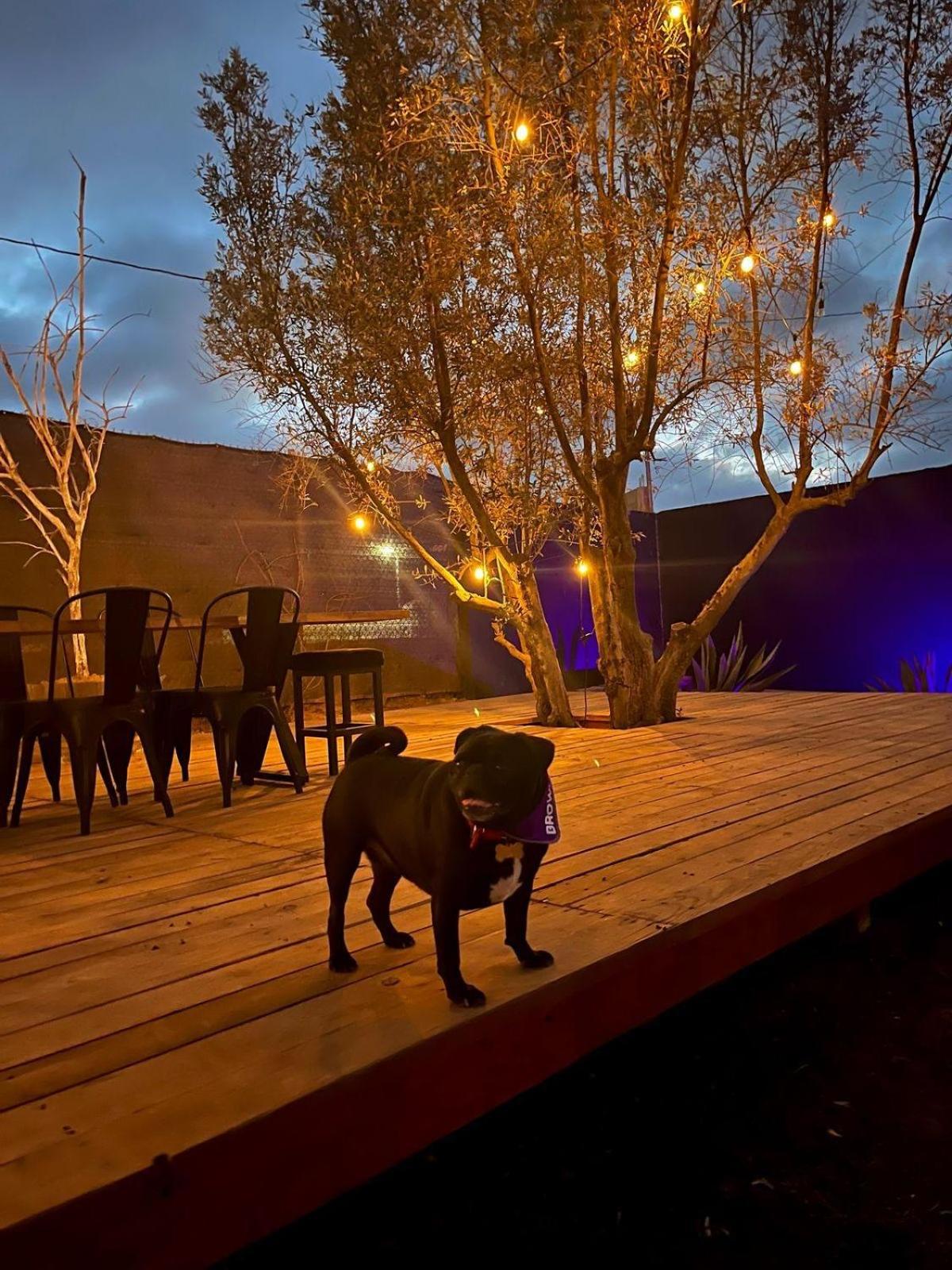 Cazosa * Valle de Guadalupe